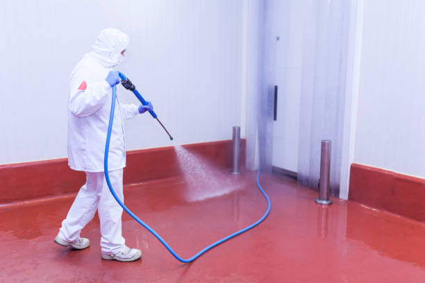Trusted Falls Creek, PA Pressure Washing Services Experts
